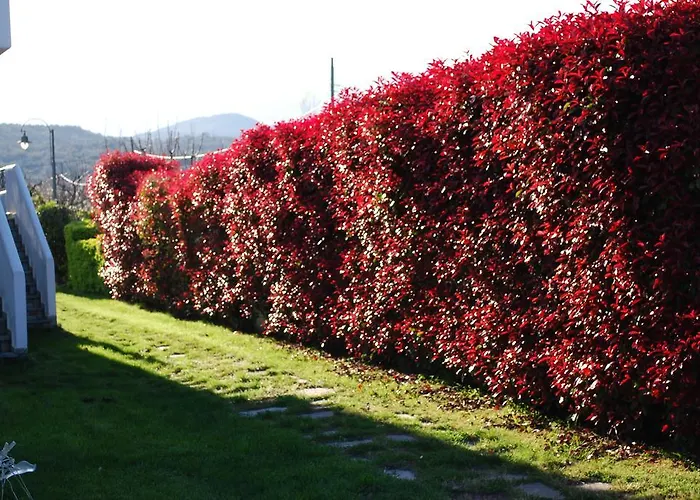 Xasteria Appartamento Velika (Thessaly)